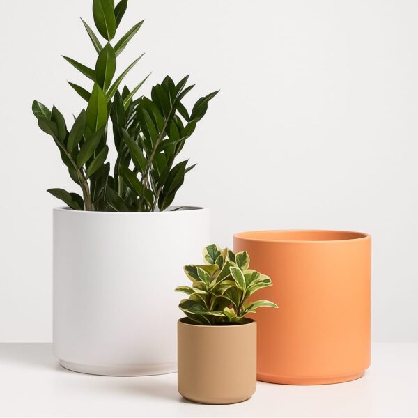 Flower Pots